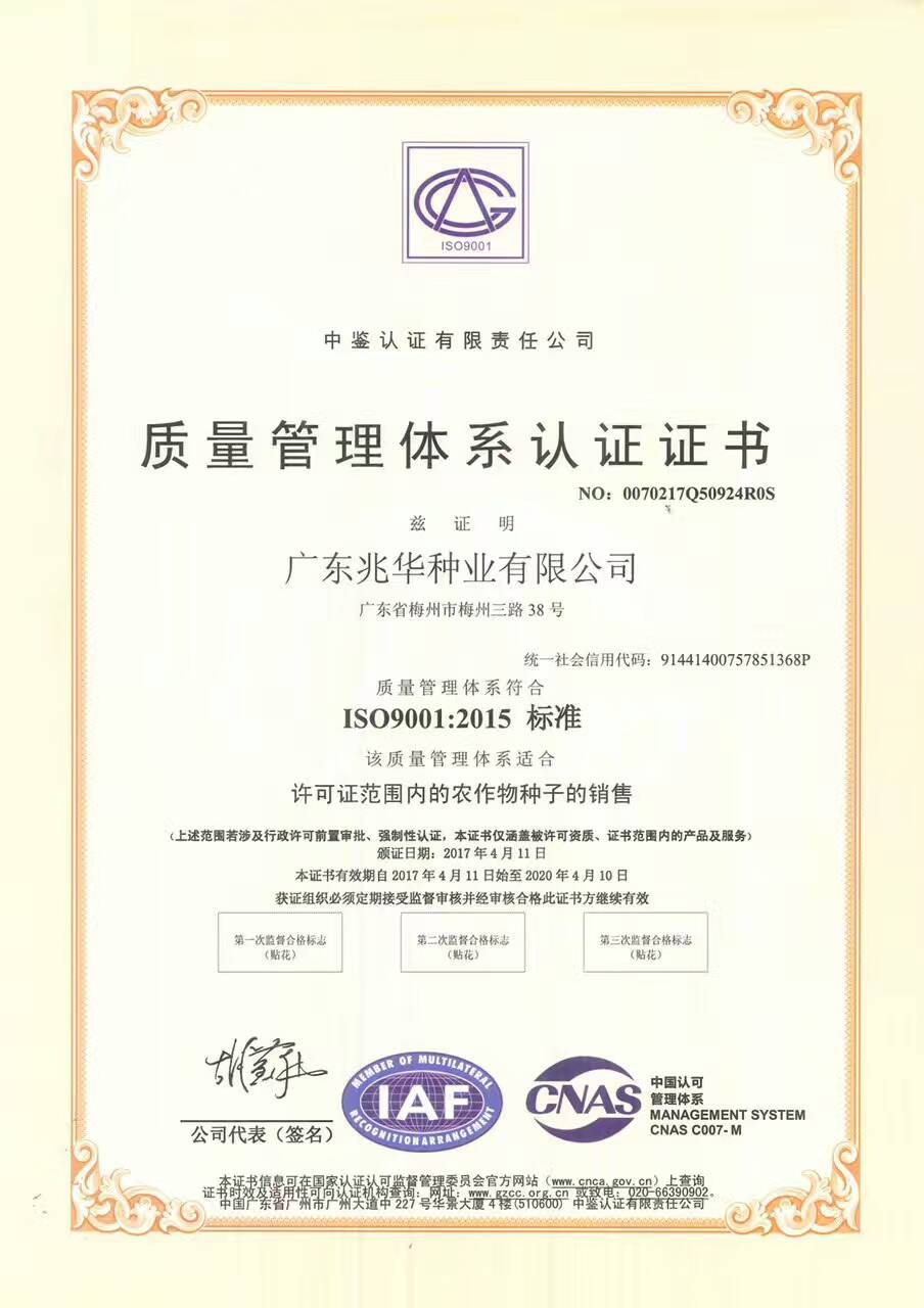 热烈祝贺广东兆华种业有限公司顺利通过ISO9001质量体系认证！